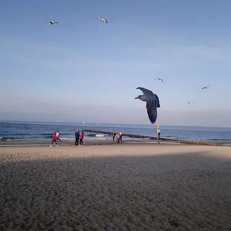 Prywatny W Diwa W Strefie Kurortowej Z Klimatyzacja I Parkingiem Wcentrum Kolobrzegu *
