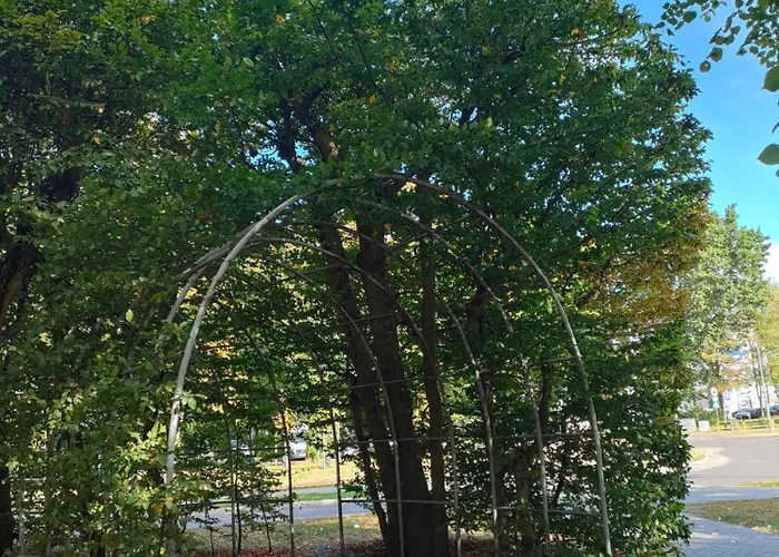 Prywatny W Diwa W Strefie Kurortowej Z Klimatyzacja I Parkingiem Wcentrum Kolobrzegu 아파트 *