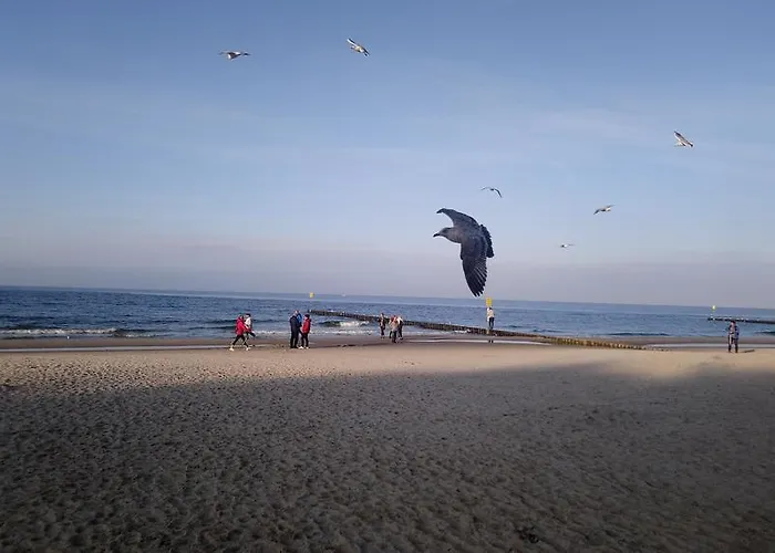 Prywatny W Diwa W Strefie Kurortowej Z Klimatyzacja I Parkingiem Wcentrum Kolobrzegu *